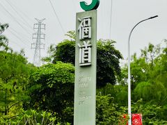 -福道