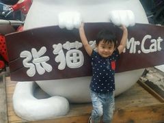 -张猫猫爱吃鱼