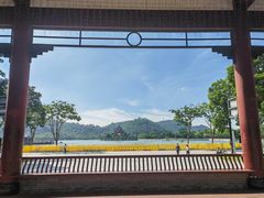 -顺峰山公园