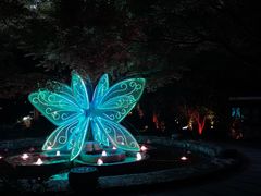 -杭州黄龙洞