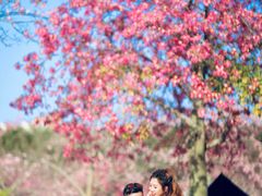 -风云岭森林公园
