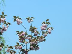 -贡湖湾湿地公园