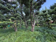 -兰溪青年公园