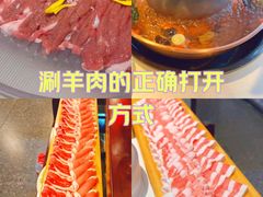 -阳坊胜利涮羊肉(禧乐汇店)