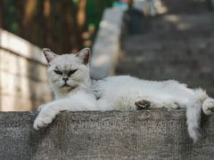 -四门塔风景区