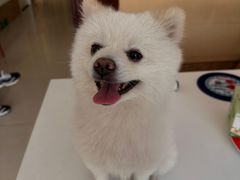 -美联众合24小时·皮肤科·外科·全科诊疗中心(华苑分院)