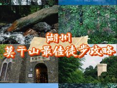 -莫干山风景区