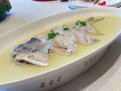 大鲳鱼-甬府(黄浦店)