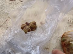 溜肉段-春饼小吃(钱塘街店)
