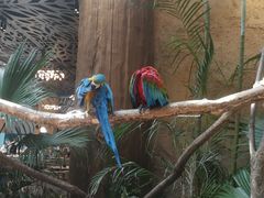 -杭州开元森泊度假乐园