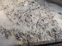-金沙遗址博物馆