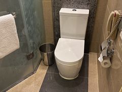-南桥绿地铂骊酒店