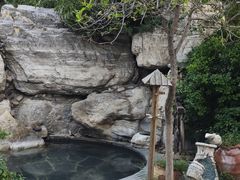 -仁爱团泊湖温泉中心