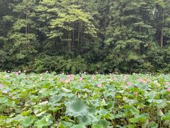 -梅岭神龙潭