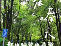 -铁山坪森林公园