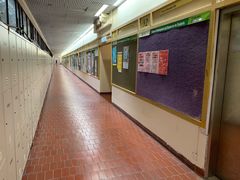 -香港大学