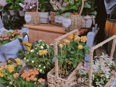 -循礼门鲜花花市(武汉循礼门店)