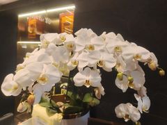 -浩运·海鲜青岛菜·海胆水饺(石老人店)