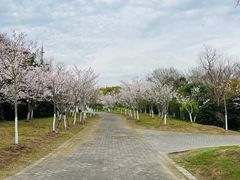 -上海海湾国家森林公园