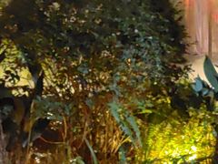 -大妙火锅·非物质文化遗产(东湖公园店)