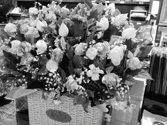 -安琳acKONA咖啡(市南店)