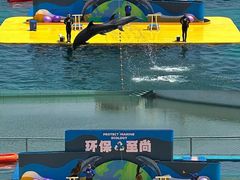 -秦皇岛乐岛海洋王国