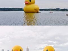 -深圳人才公园