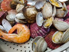 -日月昇渔家菜·海肠捞饭·大连海鲜(星海公园店)