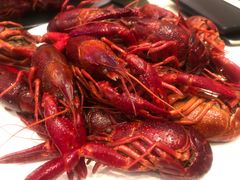 -新发展亚太JW万豪酒店·福苑咖啡厅