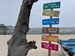 -花岙岛