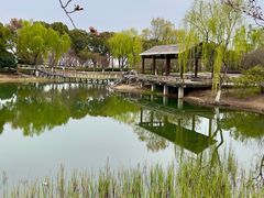 -阳澄湖半岛旅游度假区