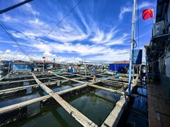 -蓝湾碧波·老字号·疍家非遗海上餐厅