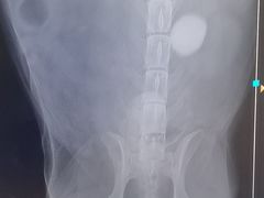 -美联众合动物医院·24h京西诊疗中心