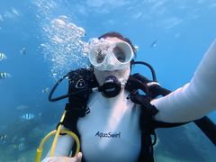 -亚龙湾海底世界