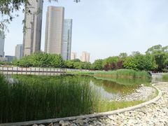-大望京公园