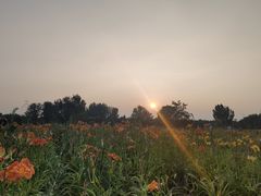 -汉长安城未央宫国家考古遗址公园