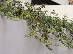 -PAUSE CAFE(南秀村店)
