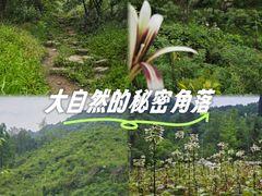 -龙窝子
