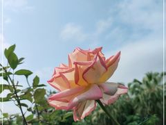 -人民公园(罗湖区)