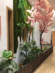 -静待花开瑜伽尊巴会馆