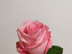 -德克士(宽甸店)