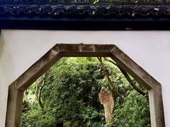 -杭州黄龙洞