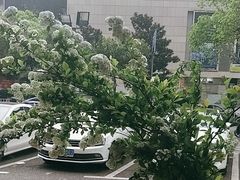 -泰合玺·精油疗愈 SPA(南京河西万达店)