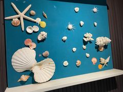 -青岛贝壳博物馆