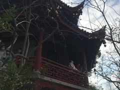 -汇龙潭