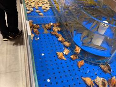 -陈家小院(阜昌路店)