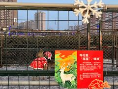 -杉杉奥特莱斯广场(哈尔滨店)