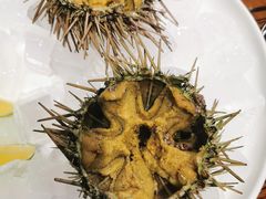 -蚝堡海鲜·威海菜·海肠捞饭·烧烤·亚洲吃蚝公司(幸福门店)