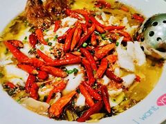 招牌酸菜鱼-姚姚酸菜鱼·金戈戈香港豉油鸡(喜荟城联名店)