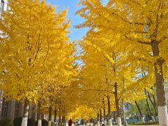 -东北大学(南湖校区)